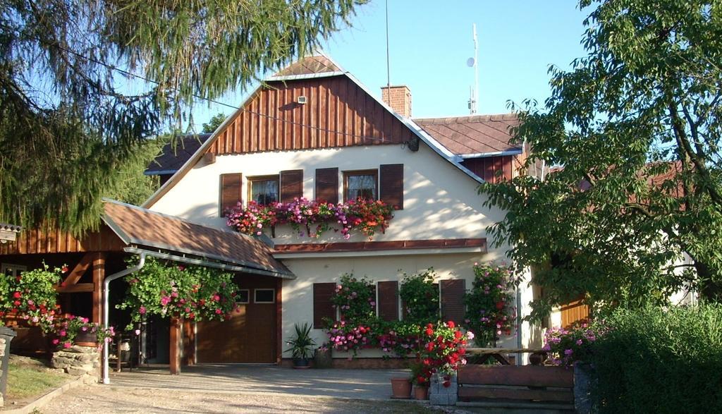 Pension Ivanka Jestrabi V Krkonosich Kültér fotó